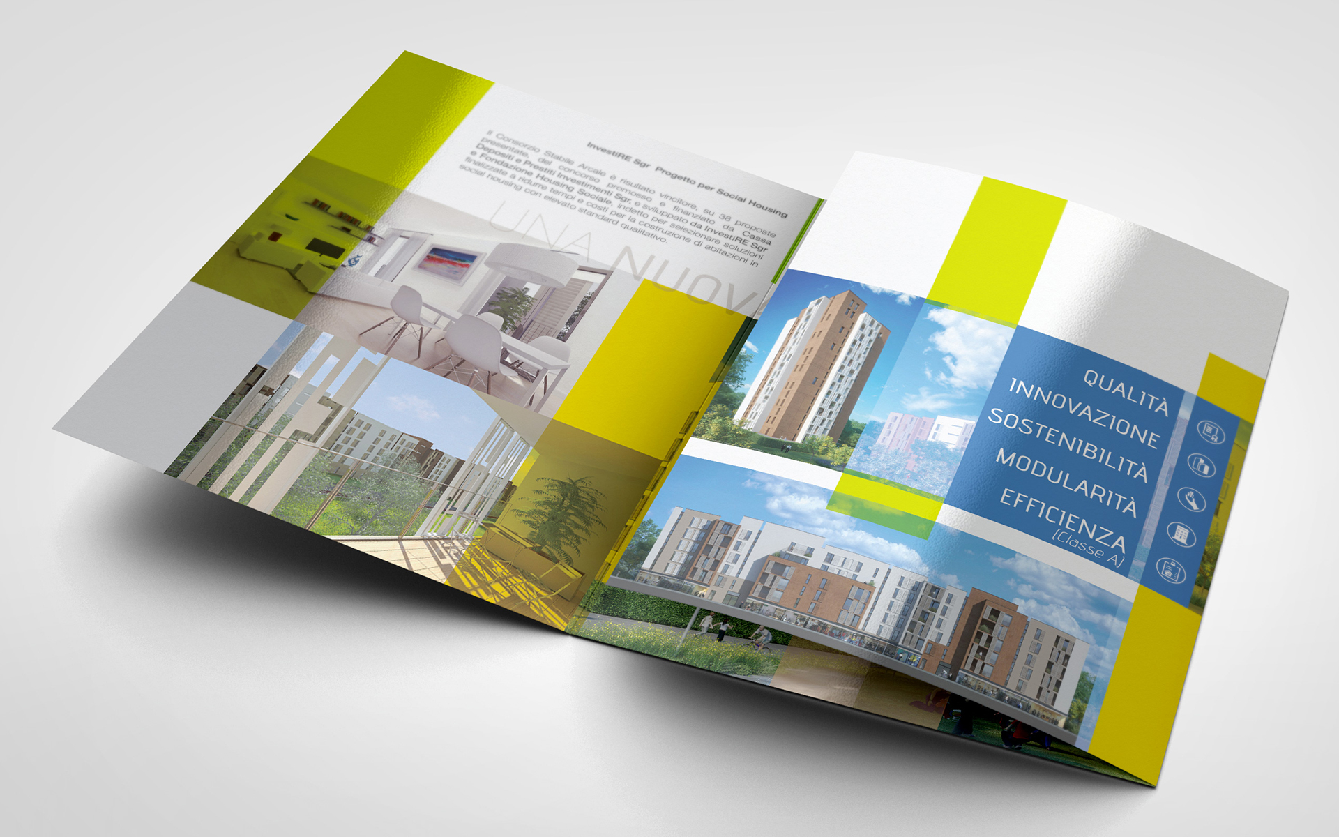  Trifold Brochure